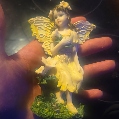 The enchanted world fairies - world, of