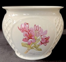 Royal Winton Vintage Ceramic