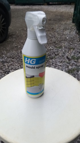 Mould spray - hg,