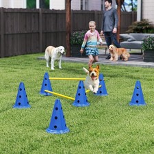 Dog Agility Set, Three-Piece