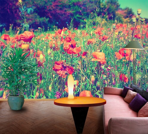 Poppy flower r10308 - 3d,