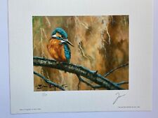 Bird Art Kingfisher Limited Edition Print Kingfisher by John Trickett