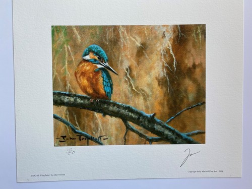 Bird art kingfisher limited - art,