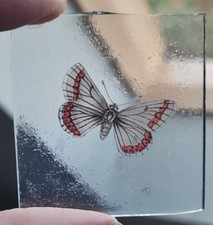 stained glass small butterfly
