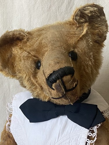 Large antique teddy bear - ,