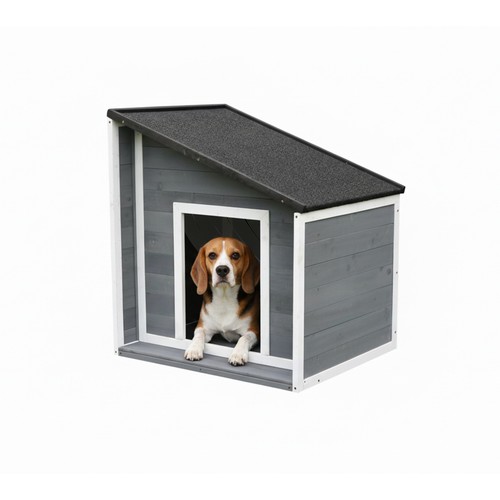 Dog kennel house - dog, den