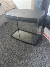 40l fish tank - fish,