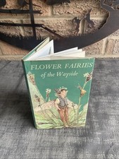 Flower Fairies Of The Wayside