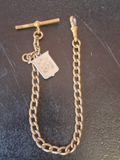 Antique Albert Chain / Pocket