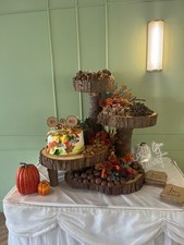 Extra Large Real Log Slice Wedding Cake Stand
