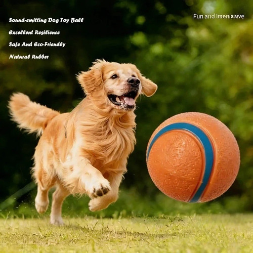 Dog ball chuckit ultra - dog,