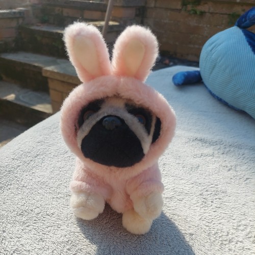 Doug the pug pink - pink, suit
