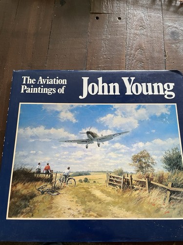 The aviation paintings john - aviation, of