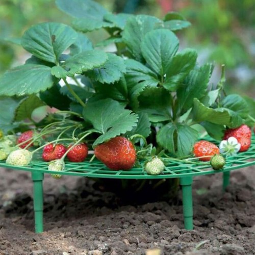 Pcs fruit racks strawberry - 4,