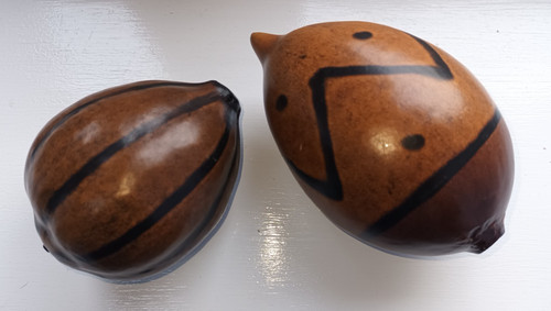 Large dried gourd - x, pod