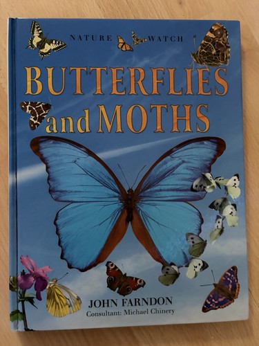 Butterflies and moths - butterflies,