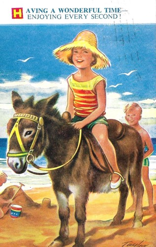 Young girl donkey - a,