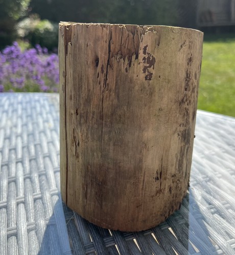 14cm driftwood log - 14cm, lamp