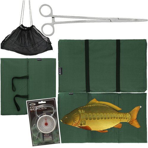 Carp fishing unhooking landing - carp,
