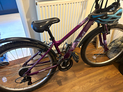 Apollo jewel girls 24in purple - jewel,