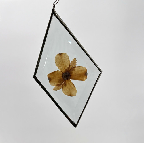 Vtg suncatcher pressed flowers - vtg,