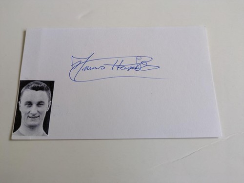 Hibernian hibs legend - fc,