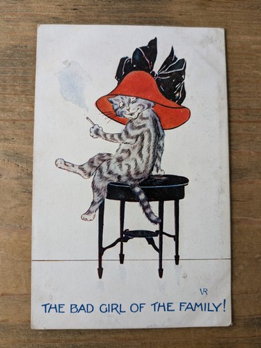 1915 cat humour - vr, postcard