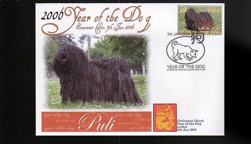 Hungarian puli 2006 year - hungarian,