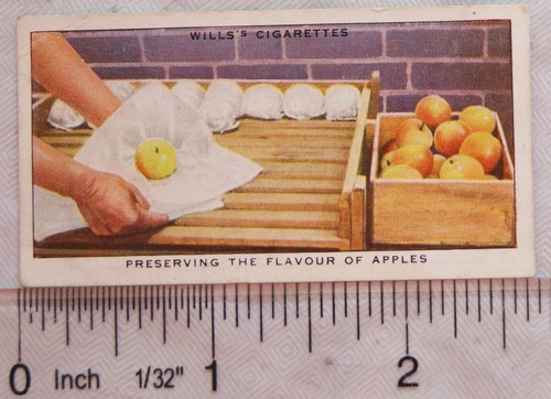 1938 wills garden - wills, hints