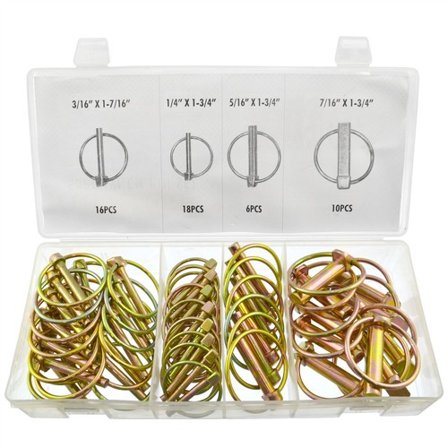 50pc lynch pin - lynch, (