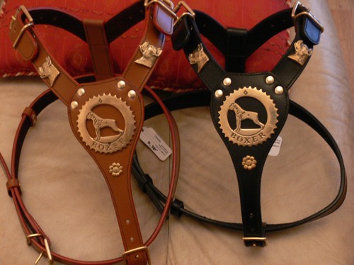 New boxer leather harness with - new,