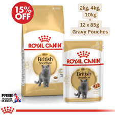 BRITISH SHORTHAIR - (400g -