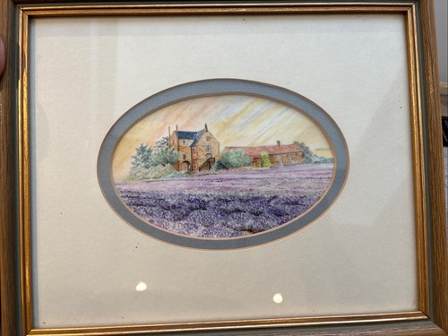 Heacham lavender caley - heacham,