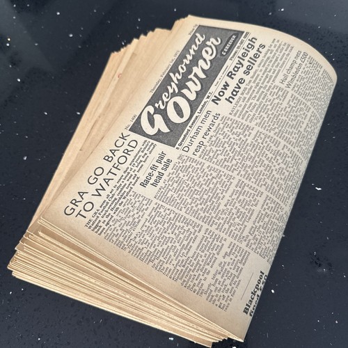 1973 greyhound racing - 1973,