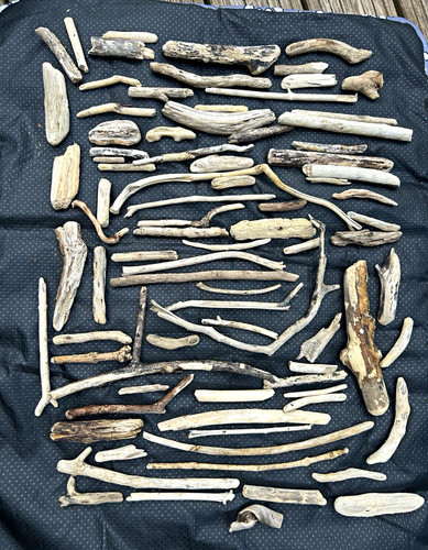 Natural driftwood stick - driftwood,