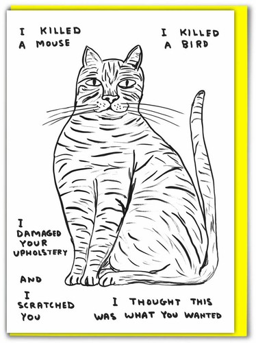 David shrigley birthday - david,