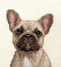Fawn french bulldog dog pup - bulldog,