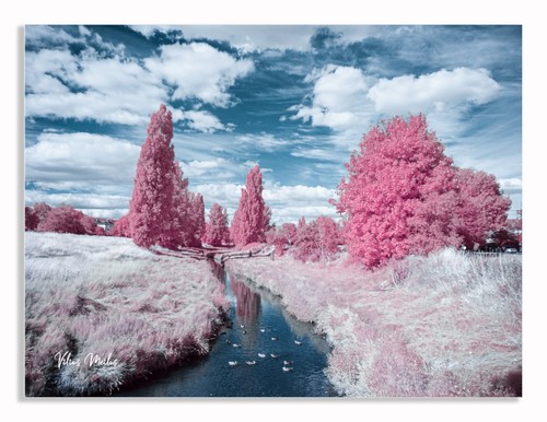 Converted infrared full - converted,