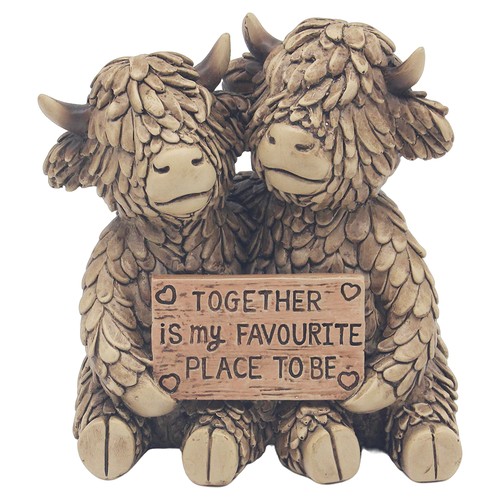 Hughie highland cow together - highland,