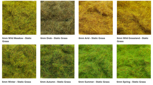 6mm static grass pgs model - grass,