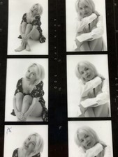 Bf) Found Photograph 8x10