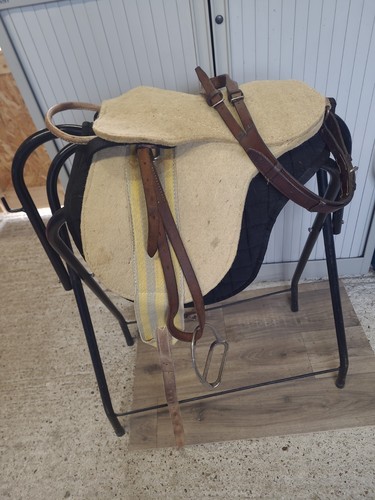Shetland pony pad saddle - pad,