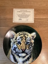 Princeton Gallery Cubs of the