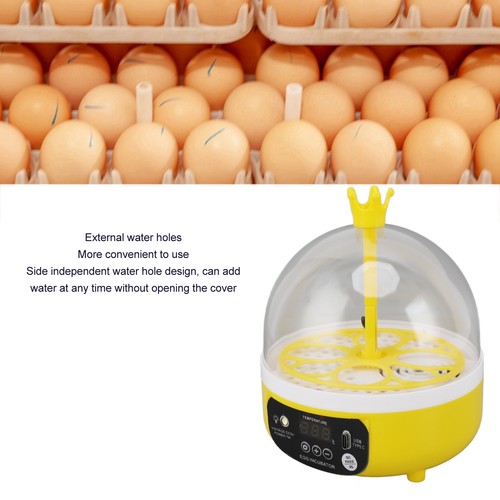 Mini egg incubator - incubator, for