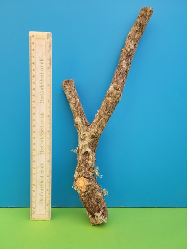 Cork bark branch 37cm - 37cm, snake