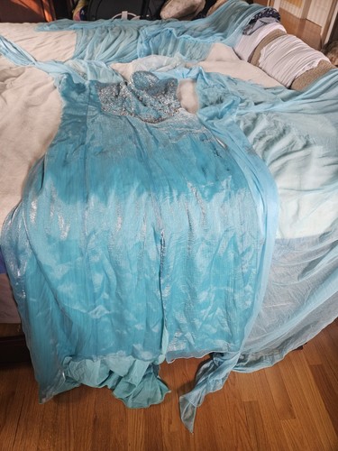 Disney elsa adult dress - disney,