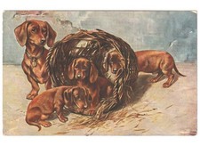Antique Postcard Mom Puppies