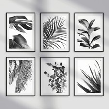 Black and White Botanical