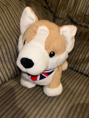 Aldi corgi dog - aldi,