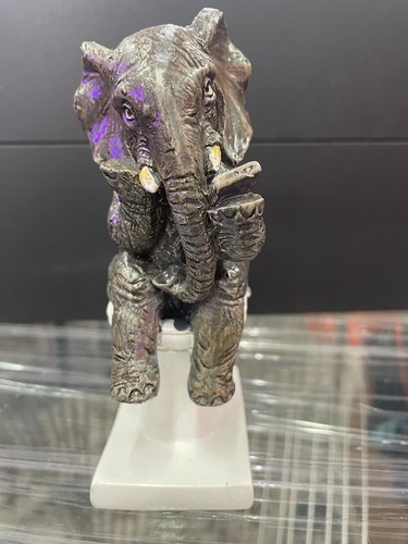 Elephant sitting the - on, loo